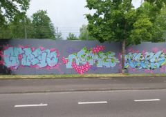 Photo 245551