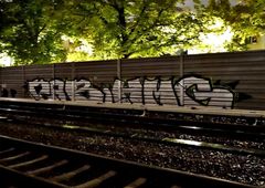 Photo 245861