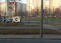 Photo 245833