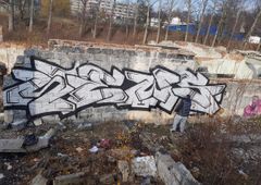 Photo 246390