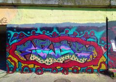 Photo 233580