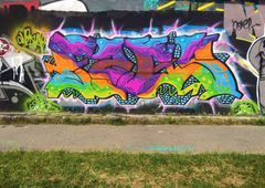 Photo 232572