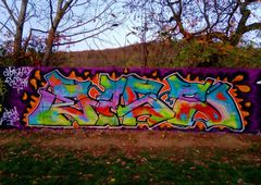 Photo 232571