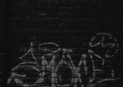 Photo 245562