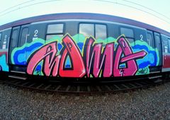 Photo #229335 by ROMANS