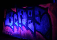 Photo 178460