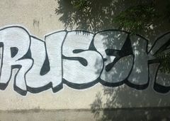 Photo 111097