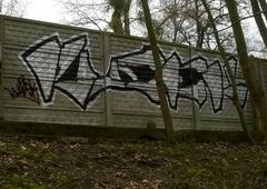 Photo 141857