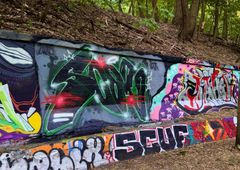 Photo 245690