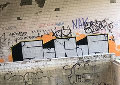 Photo 245735
