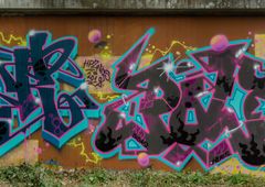 Photo #228229 by SEWER
