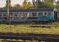 Photo 246784