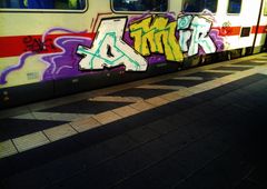 Photo #223337 by Schandiztat