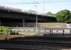 Photo 21152