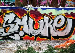 Photo 68334