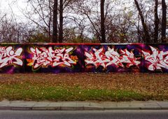 Photo #47029 by Skare