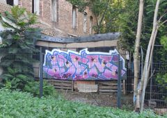 Photo 246143