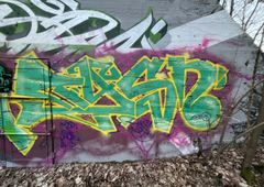 Photo 245232