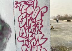 Photo 245223