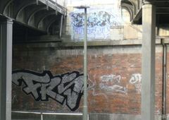 Photo 245235