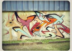 Photo 10375