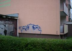 Photo 9832