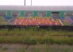 Photo 195530