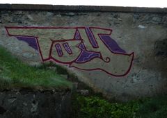 Photo #226417 by bergpunk