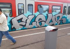 Photo #223373 by bocat