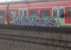 Photo #227955 by bocat