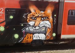 Photo #223719 by bocat