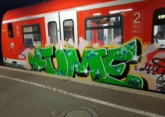 Photo #223856 by bocat