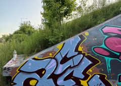 Photo 245594