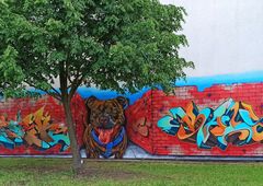 Photo 245592