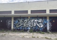 Photo 246968
