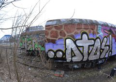 Photo #24639 by geracity
