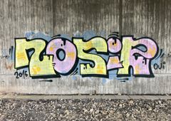 Photo 245470