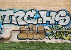 Photo 235414