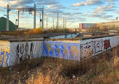 Photo 233249