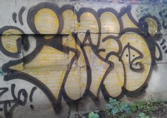Photo #232039 by imes