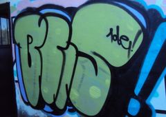 Photo 245484