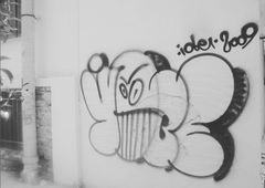 Photo 245888
