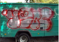 Photo 247226