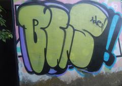Photo 245483