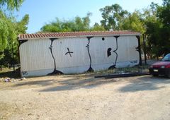 Photo 245755