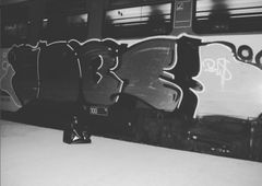 Photo 245878