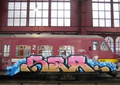 Photo 203704