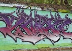 Photo 245287