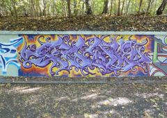 Photo 245307