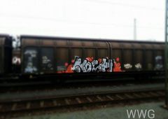 Photo #153547 by koolk